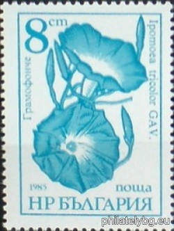 БК 3446