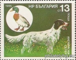 БК 3472