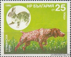 БК 3474