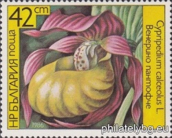 БК 3486