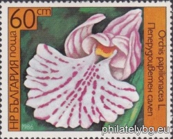 БК 3487