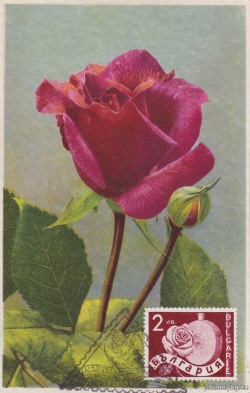 БК 348