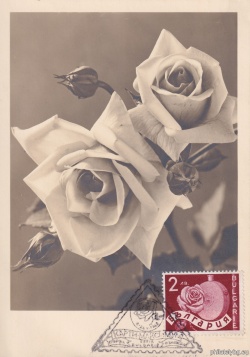 БК 348