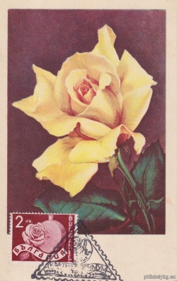 БК 348
