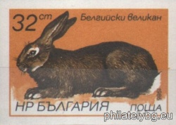 БК 3491A