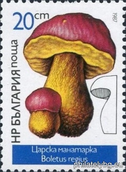 БК 3574