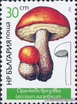 БК 3575
