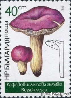 БК 3577