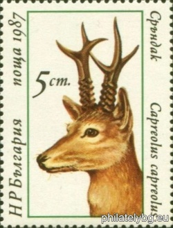 БК 3599