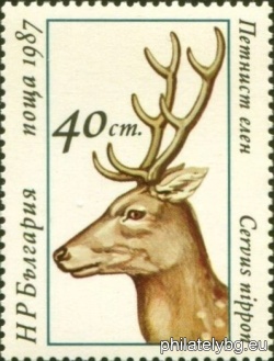 БК 3602