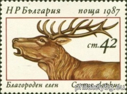 БК 3603