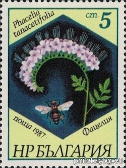 БК 3608