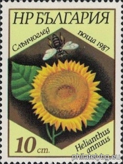 БК 3609