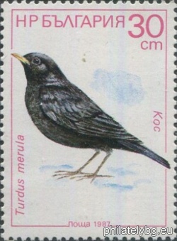 БК 3635