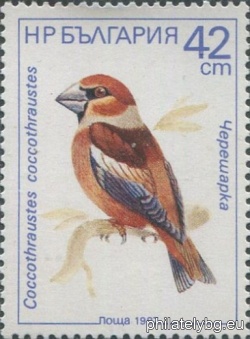БК 3636