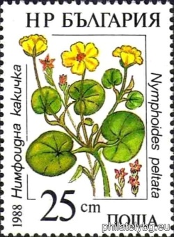 БК 3653