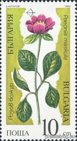 БК 3755