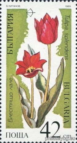 БК 3758