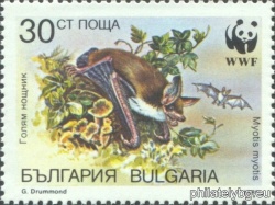 БК 3762