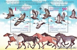 БК 3804