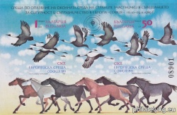 БК 3804