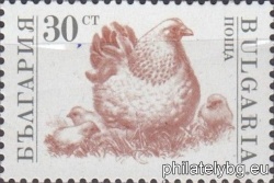 БК 3896