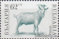 БК 3897