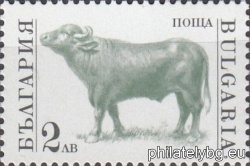 БК 3898