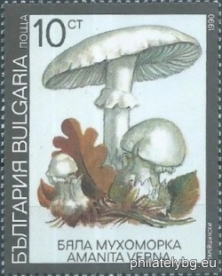 БК 3902