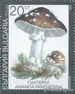 БК 3903