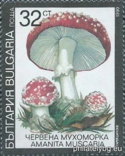 БК 3904
