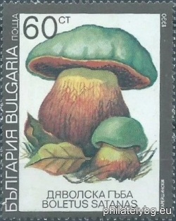 БК 3906