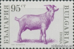 БК 4000