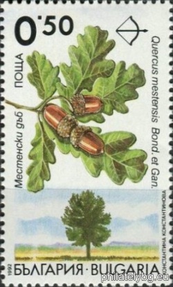 БК 4017