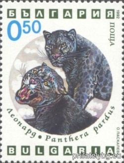 БК 4036