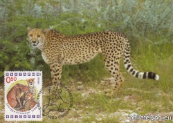 БК 4037