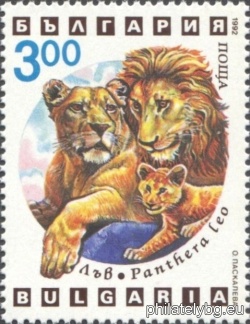 БК 4041