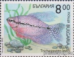 БК 4070