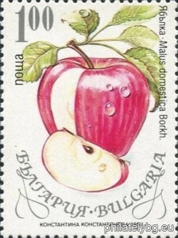 БК 4071
