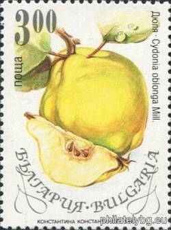 БК 4074