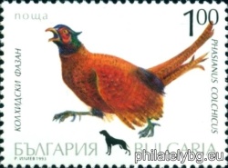 БК 4097