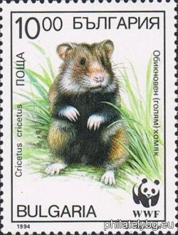 БК 4138