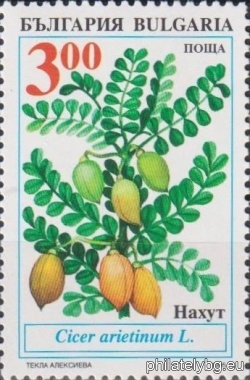 БК 4181