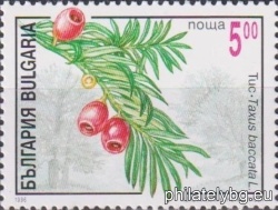 БК 4219