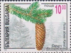 БК 4221