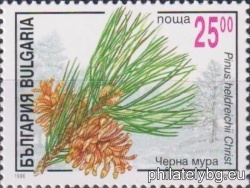 БК 4223