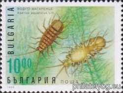 БК 4249