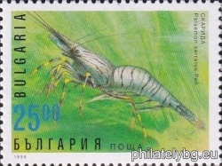 БК 4251