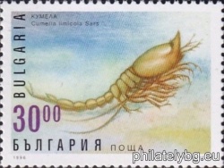 БК 4252