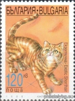 БК 4349
